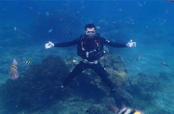 潜水俱乐部,潜水俱乐部的海洋奇遇之旅