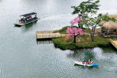 荡漾 2025,展望未来科技与生活的和谐共鸣