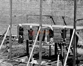 绞刑架,历史与现实的交织