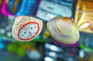 重生70年代火车供水员，靠着现代思维发明甜蜜冰城，直接火爆全国！,重生70年代火车供水员创新传奇